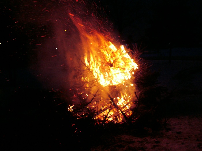 Weihnachtsbaum verbrennen 2010_34