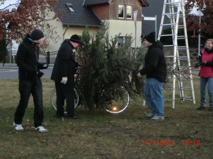 Weihnachtsbaum verbrennen 2012_7
