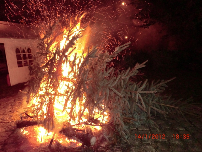Weihnachtsbaum verbrennen 2012_14