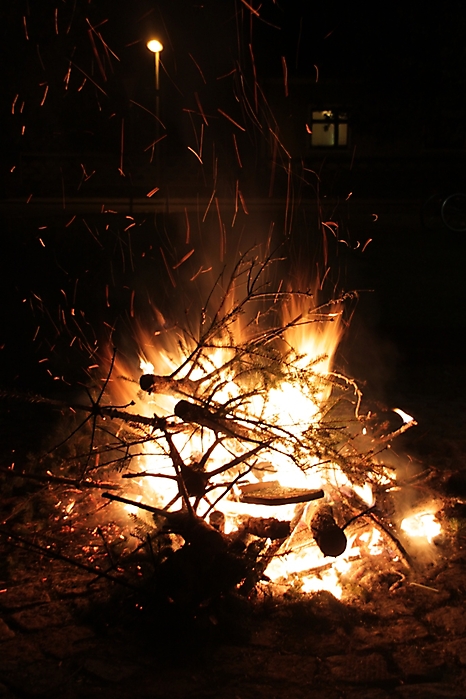 Weihnachtsbaum verbrennen 2012_36