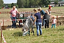 Bauernfest 2017_23