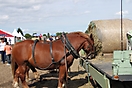 Bauernfest 2017_33