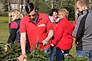 Maibaum 2017_21