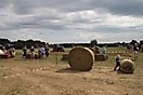 Bauernfest 2018_75