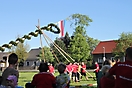 Maibaum 2018_104