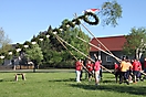 Maibaum 2018_105