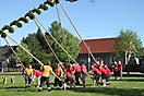 Maibaum 2018_106