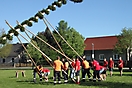 Maibaum 2018_107