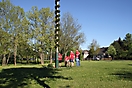 Maibaum 2018_114