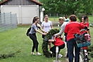 Maibaum 2018_21