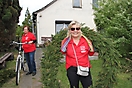 Maibaum 2018_23