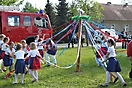 Maibaum 2018_75