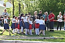 Maibaum 2018_76