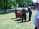 Feuerwehr 75. Jubiläum_132