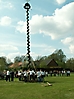 Maibaum aufstellen 2006_21