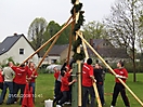 Maibaum aufstellen 2008_11