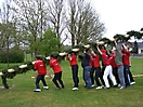 Maibaum aufstellen 2008_1