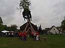 Maibaum aufstellen 2008_31