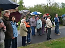 Maibaum aufstellen 2008_32