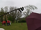 Maibaum aufstellen 2008_33