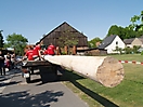 Maibaum aufstellen 2009_18