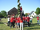 Maibaum aufstellen 2009_2