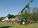 Maibaum aufstellen 2009_59