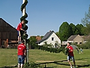 Maibaum aufstellen 2009_80