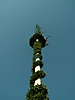 Maibaum aufstellen 2009_88