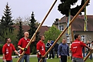 Maibaum aufstellen 2010_42