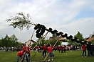 Maibaum aufstellen 2010_44