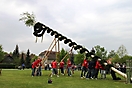 Maibaum aufstellen 2010_48