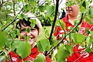 Maibaum aufstellen 2010_70