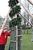 Maibaum aufstellen 2013_108