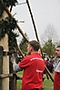 Maibaum aufstellen 2013_111