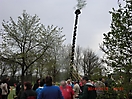 Maibaum aufstellen 2013_21