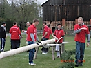 Maibaum aufstellen 2013_8