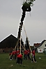 Maibaum aufstellen 2013_92