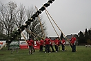 Maibaum aufstellen 2013_98