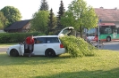 Maibaum