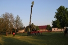 Maibaum