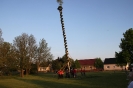 Maibaum