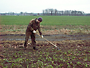 2008