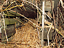 Osterfeuer