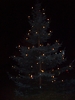 Weihnachtsbaum aufstellen 2008_42
