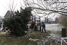 Weihnachtsbaum aufstellen 2010_10