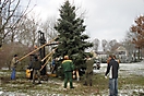 Weihnachtsbaum aufstellen 2010_19