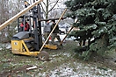 Weihnachtsbaum aufstellen 2010_21