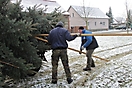 Weihnachtsbaum aufstellen 2010_4