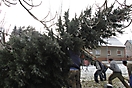 Weihnachtsbaum aufstellen 2010_7